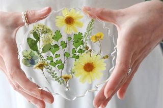 Jak správně zalévat květiny? Jak je připravit, aby vám v pryskyřice nezhnědly, nebo časem nevybledly? Jakou pryskyřici...